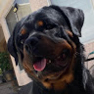 Meet your Posher, Shawna